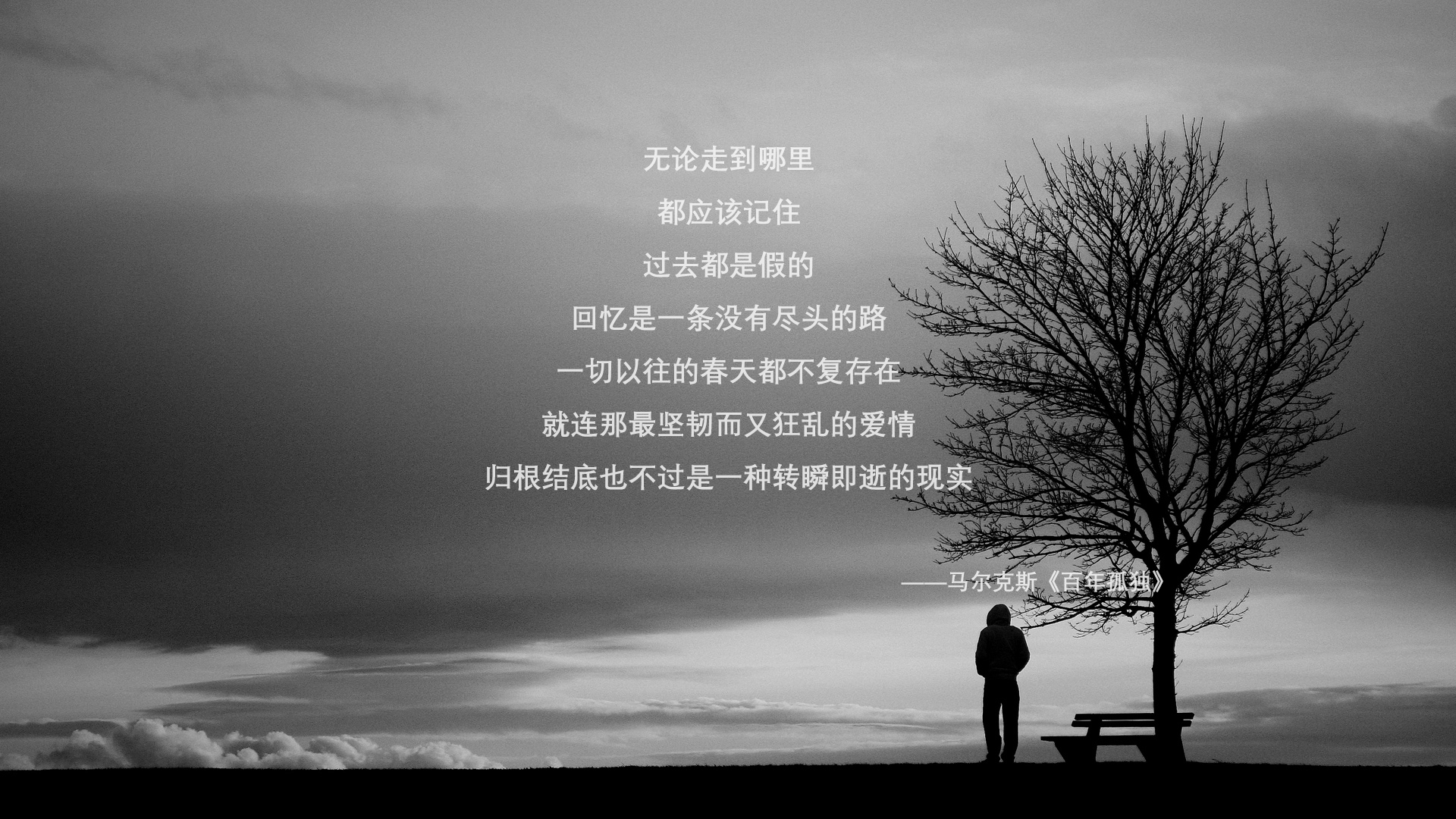 爱游戏app-中超球迷摄影大赛展示足球魅力，中超球队照片