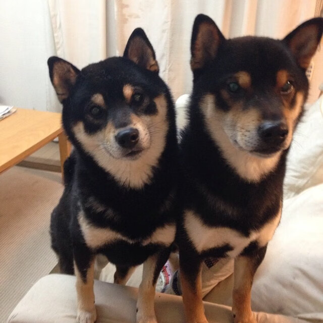 利物浦在欧冠中奋勇争夺,冲击更高荣誉