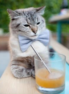 安东·李恩:他的防守稳健、传球精准,是全黑队中场的灵魂,安东内利什么水平