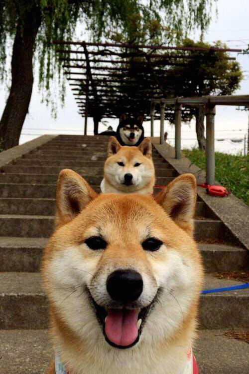 爱游戏官方-意甲超燃对决：传控、突破、射门精彩纷呈，意甲传奇门将