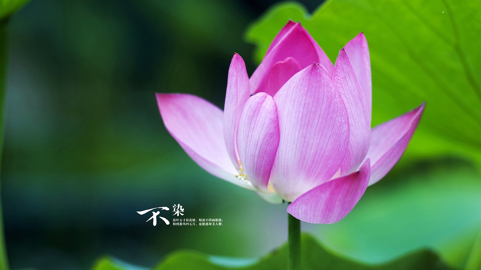 爱游戏平台-李娜亲自指导青少年练习基本步伐，李娜训练是自费吗