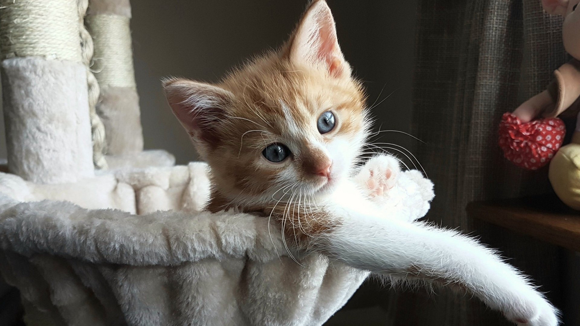 西甲传奇时刻：球队历史性胜利瞬间，历史西甲冠军