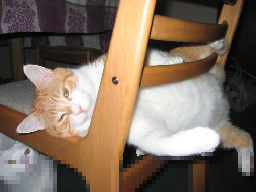 阿森纳青训持续成长，未来之星源源不断