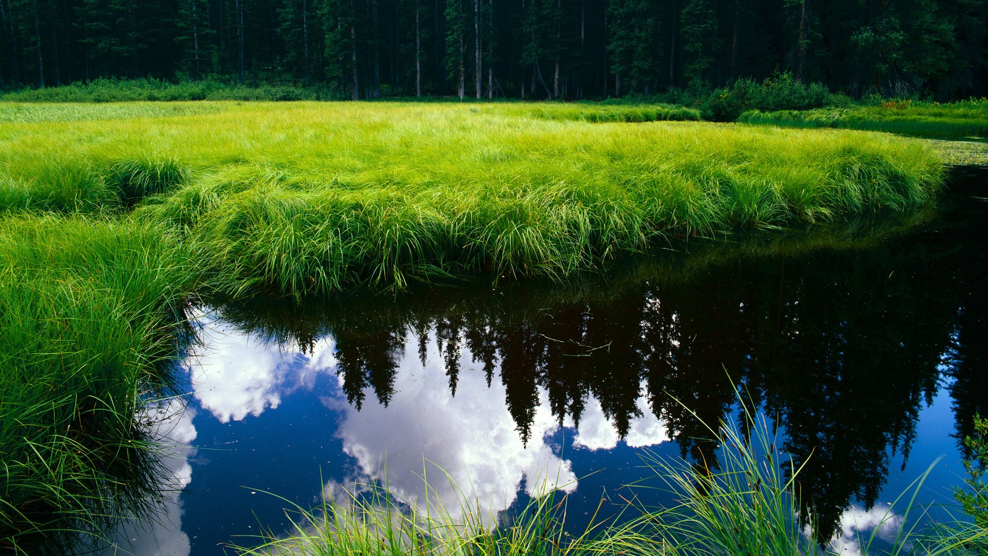 阿森纳青训持续成长，未来之星源源不断