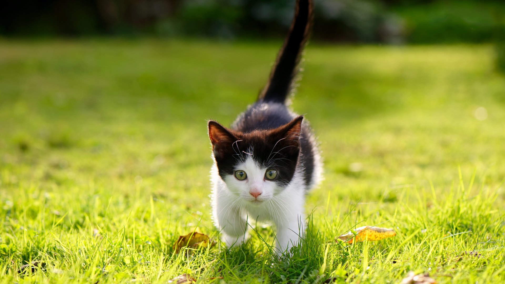 -青训营注重技能细节打磨强化基本功训练，打磨技能培训